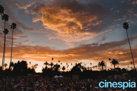A sunset with palm trees in the background where a Hollywood Bowl sing-along is taking place.