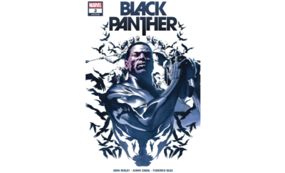 Black panther comic book cover with an image of a man holding a sword.